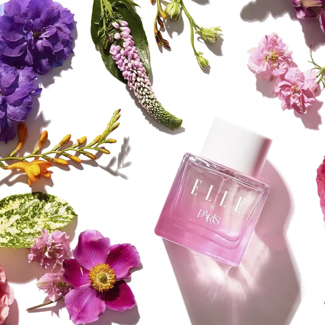 In Paris Eau De Parfum