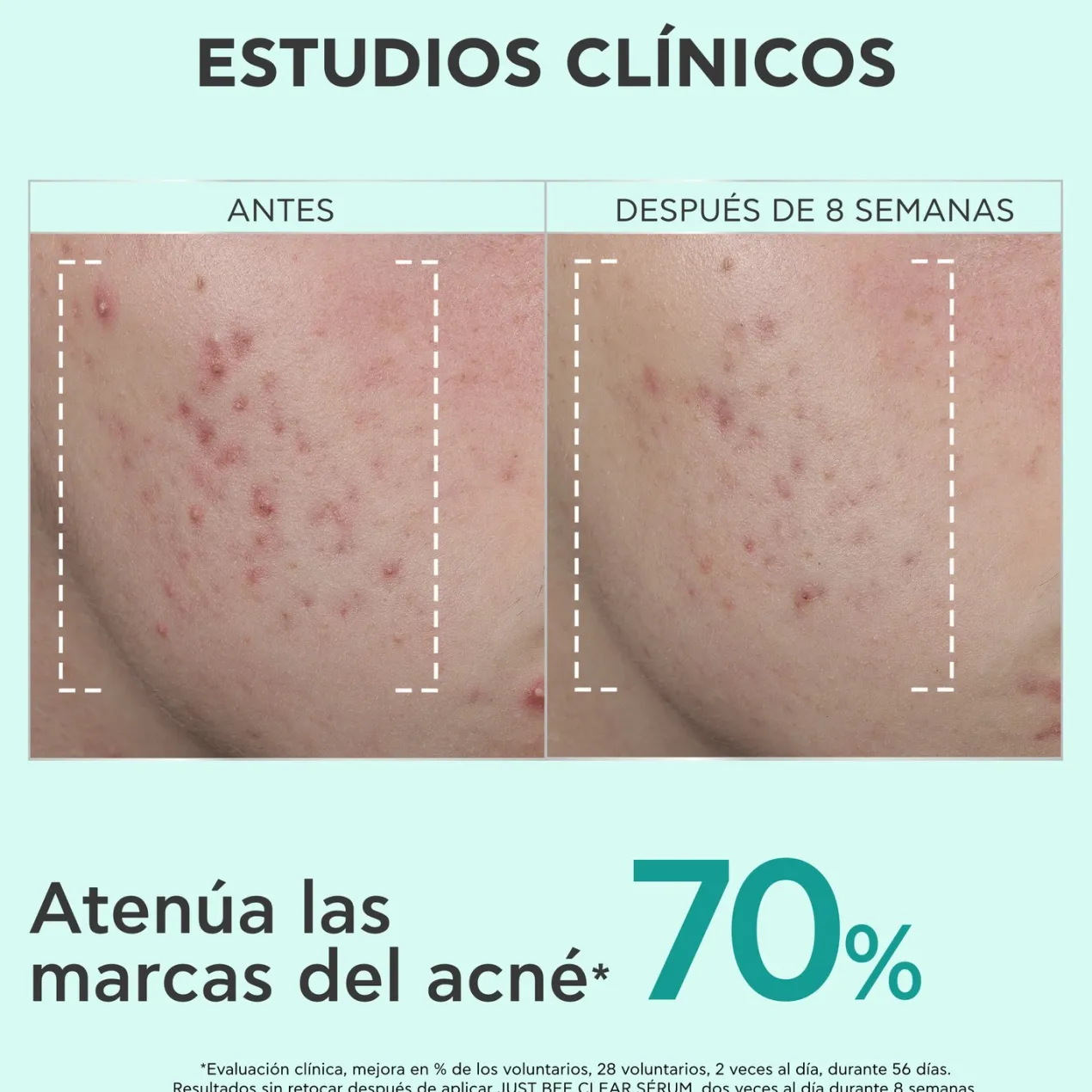 Just Bee Clear Serum
