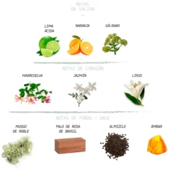 Kids Colonia Infantil