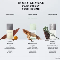 L'Eau d'Issey Pour Homme Eau de Toilette