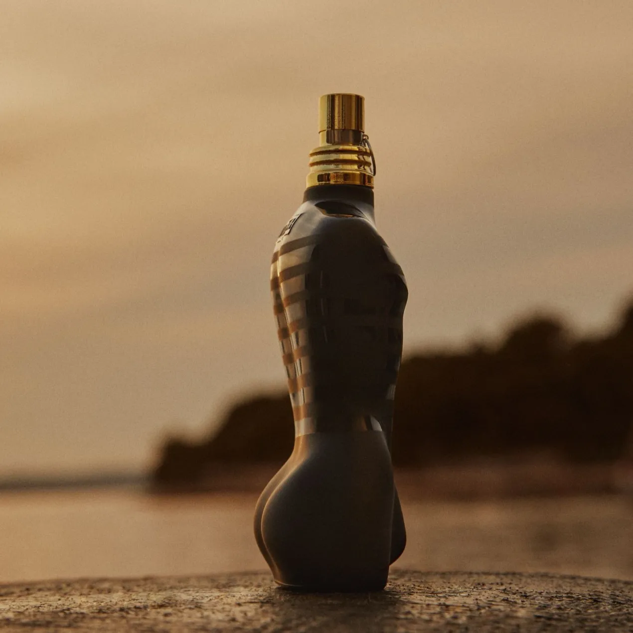 Le Male Le Parfum EDP