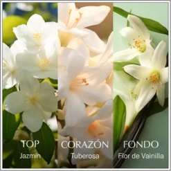 Les Eaux du Monde Jasmine EDT