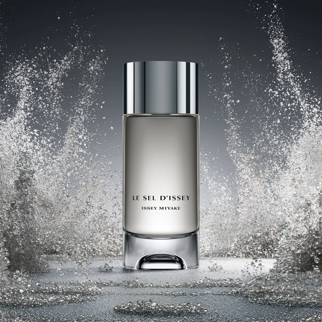 Le Sel d'Issey Eau de Toilette