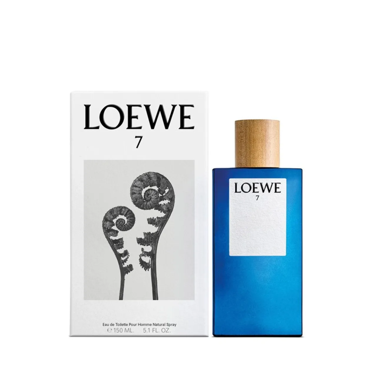 Loewe 7