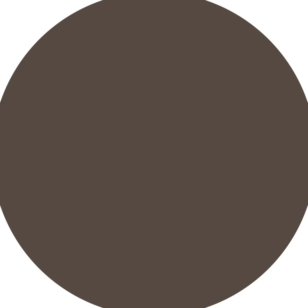Lápiz Cejas Micro Precise