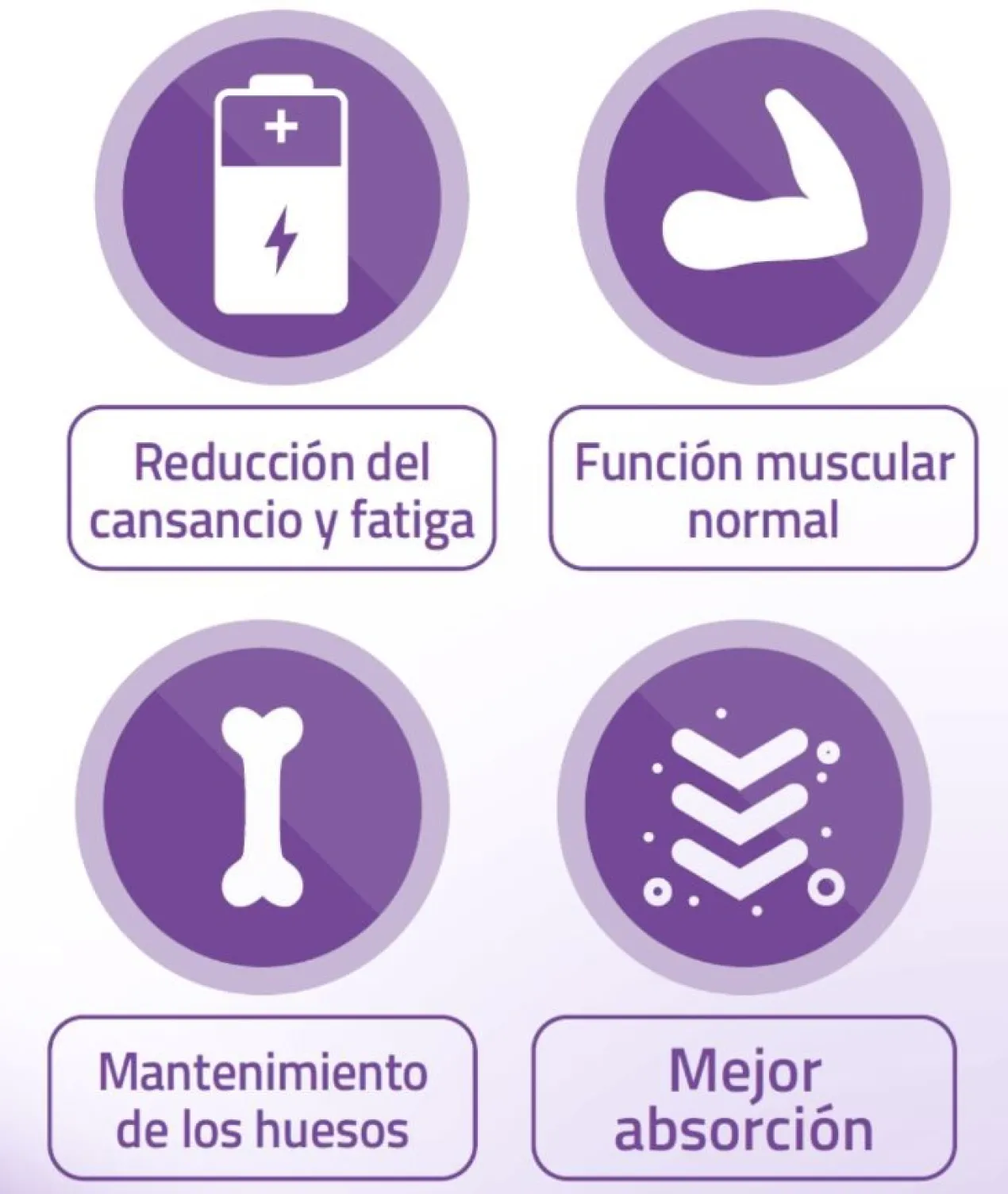 Magnesio Pure