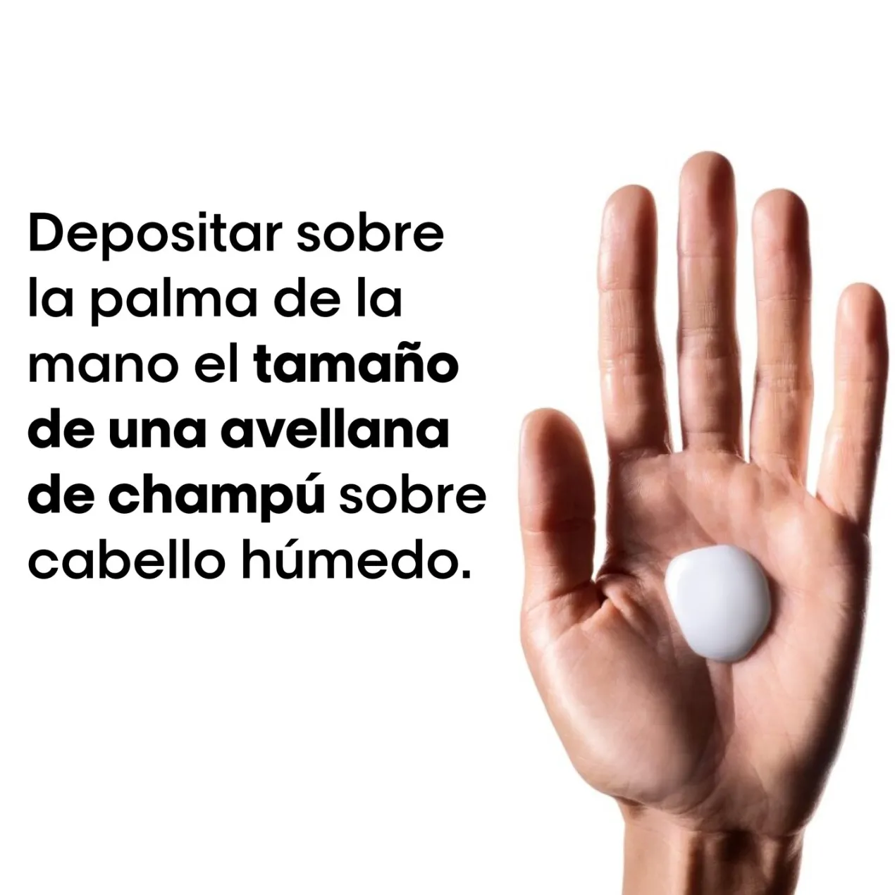 Metal Detox Champú sin Sulfatos para cabello dañado y teñido