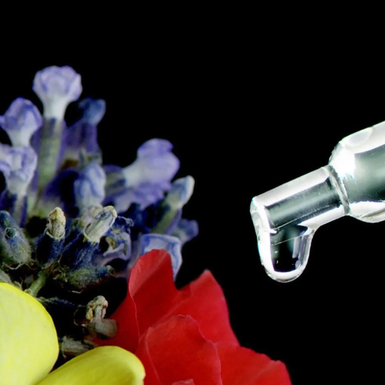Midnight Recovery Concentrate Serum Tratamiento Facial
