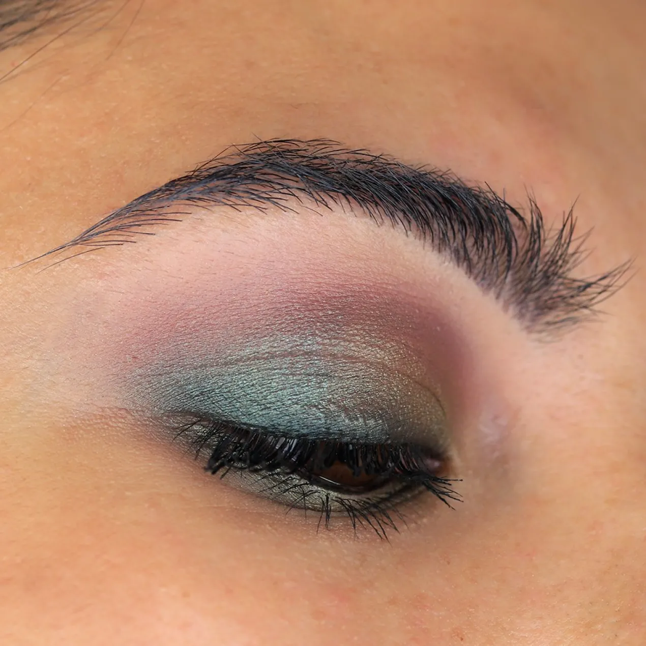 Move Me Jungle Paleta de Sombras