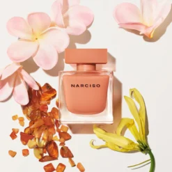 Narciso Ambrée EDP