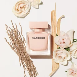 Narciso Poudree EDP