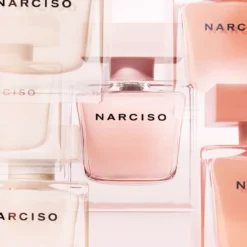 Narciso Poudree EDP