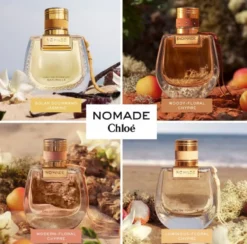 Nomade EDP