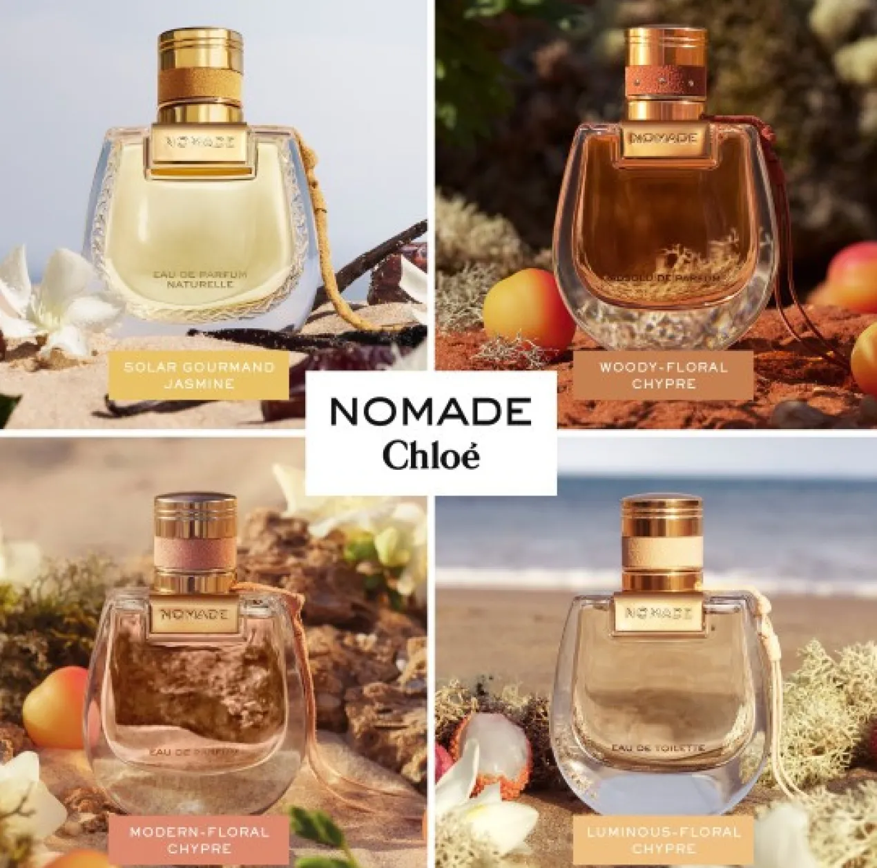 Nomade EDP