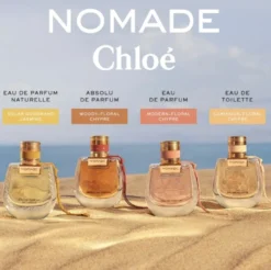 Nomade EDP