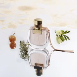 Nomade EDP
