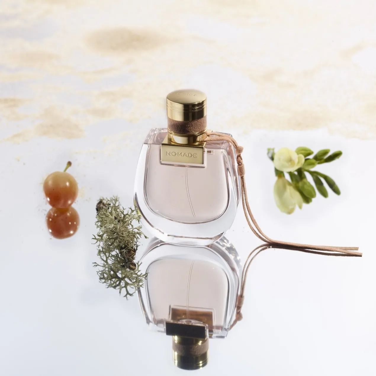 Nomade EDP