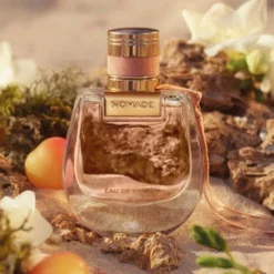 Nomade EDP