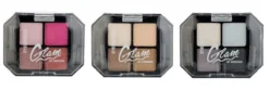 Paleta de 4 Sombras de Ojos