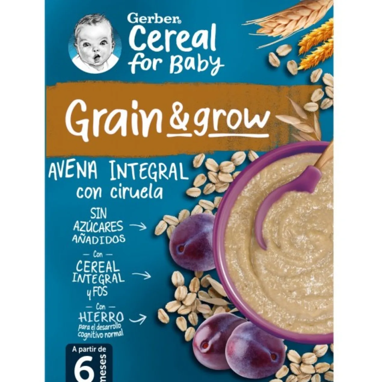 Papilla Avena Integral con Ciruela