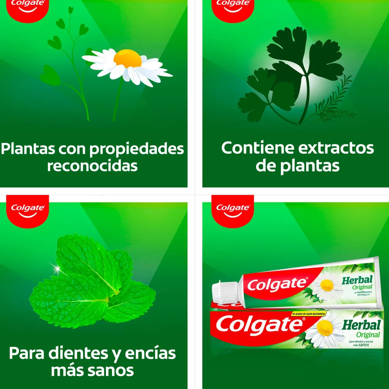 Pasta de dientes Herbal con Ingredientes Naturales