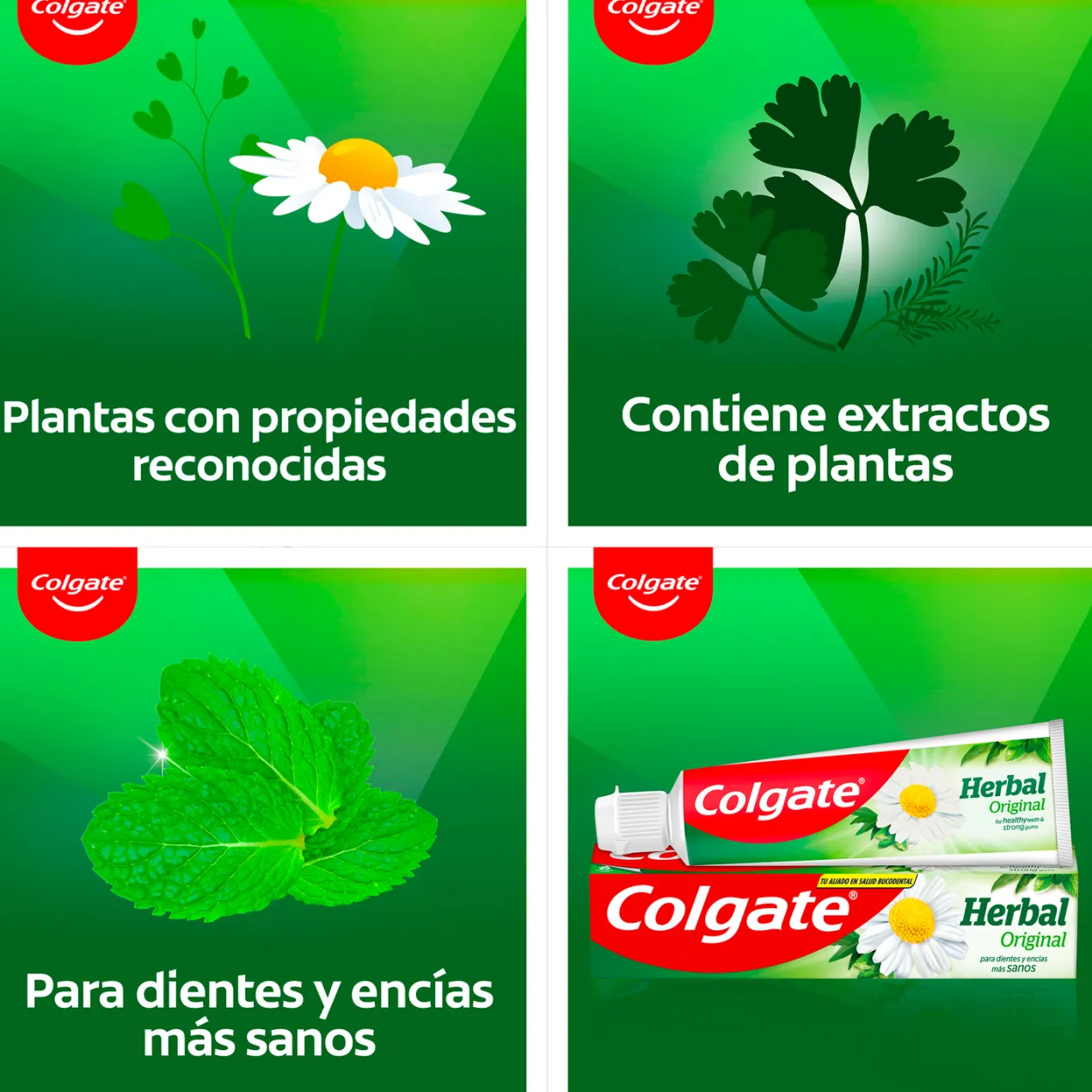 Pasta de dientes Herbal con Ingredientes Naturales