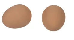 Pelota Saltarina con forma de Huevo