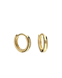 Pendientes Leonor