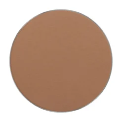 Polvos compactos Freedom System Perfect Finish