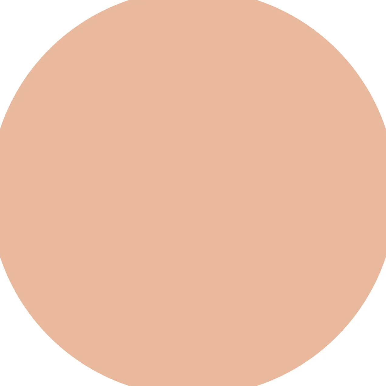 Polvos Soft Blur Matte Airbrush Powder