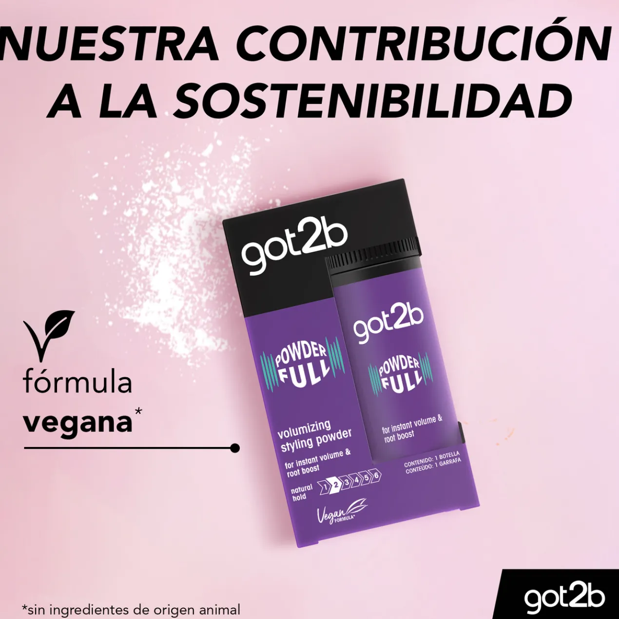 Powder Full Polvo Voluminizante