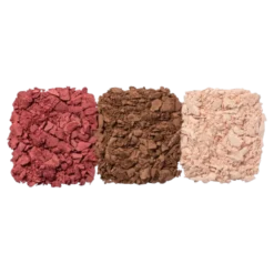 Premiere Grande Paleta de Rostro