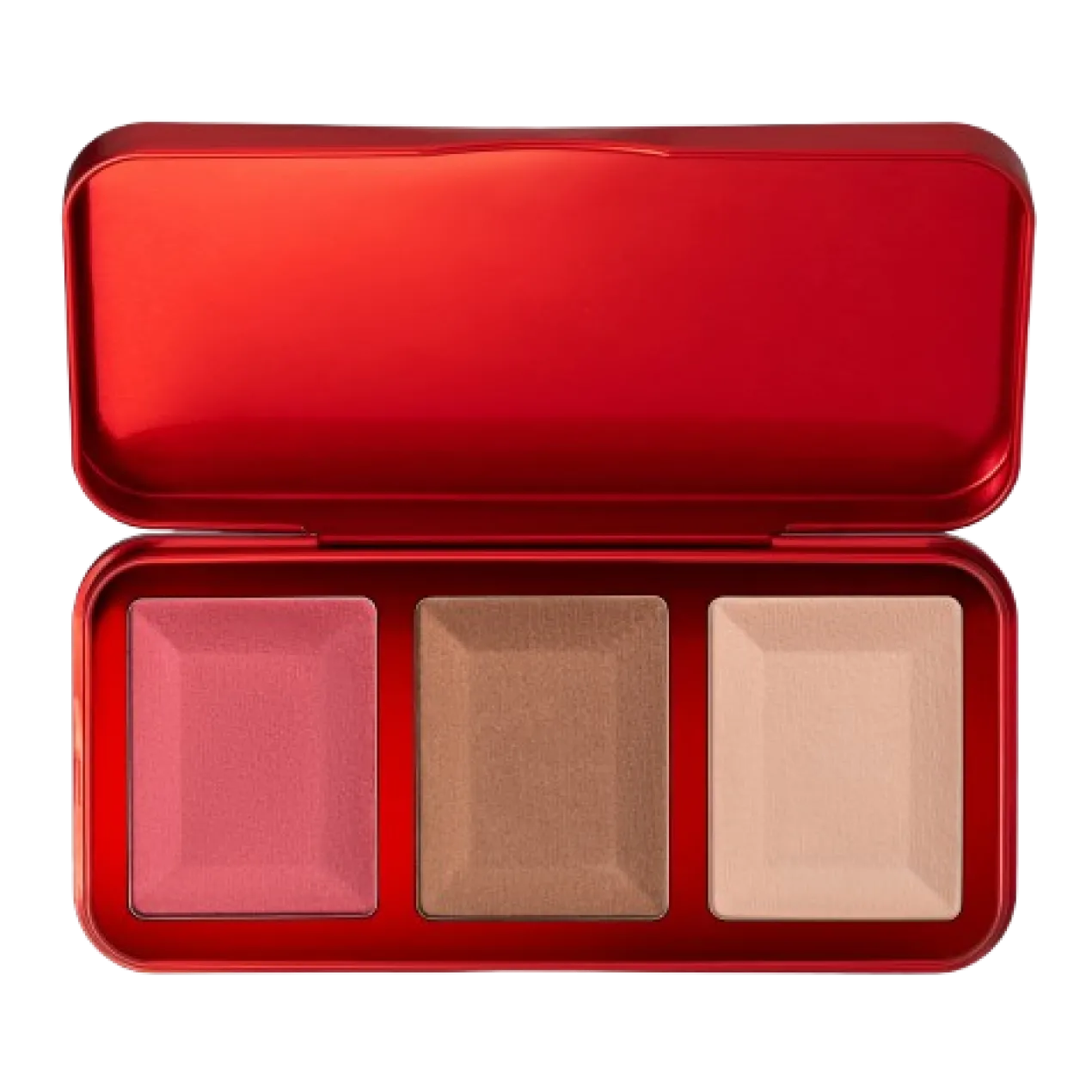 Premiere Grande Paleta de Rostro