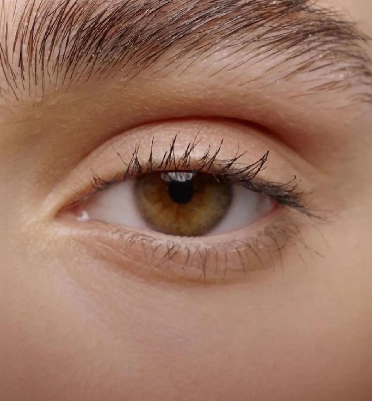 Professionale Gel Transparente Fijador de Cejas