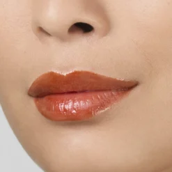 Pure Color Melt On Glosstick