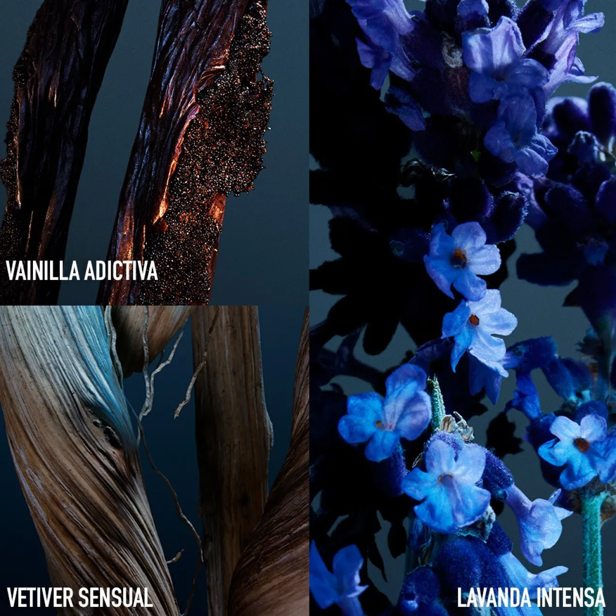 Recarga Phantom Parfum
