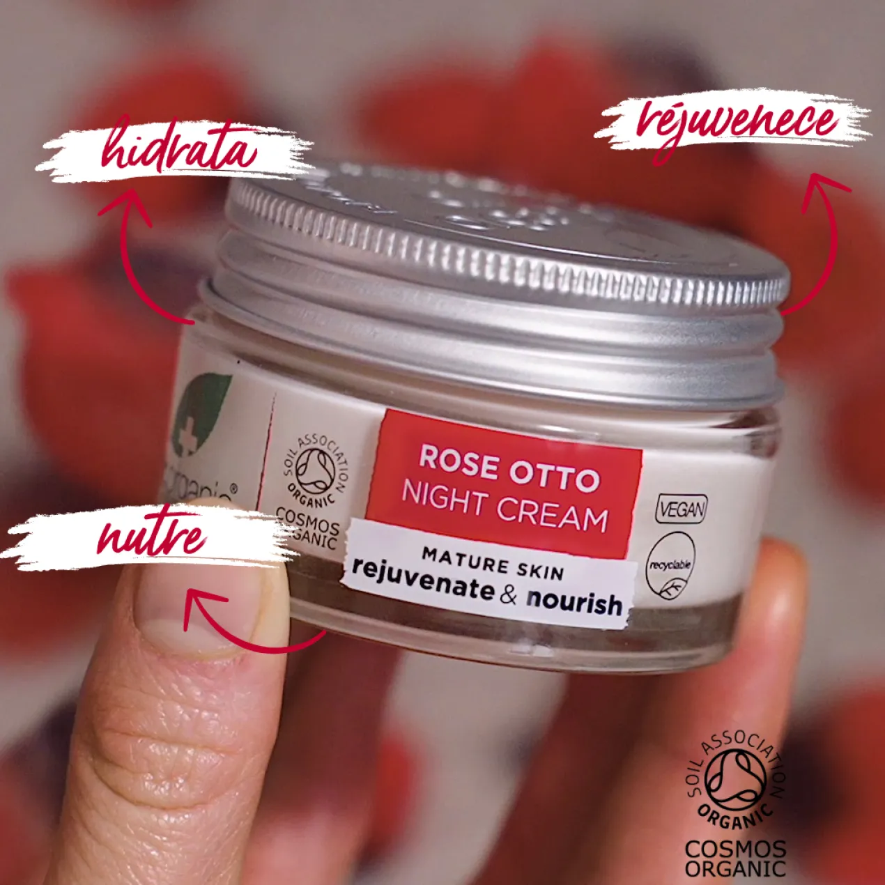 Rose Otto Crema de Noche