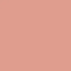Rouge Blush Colorete mejillas y pómulos larga duración