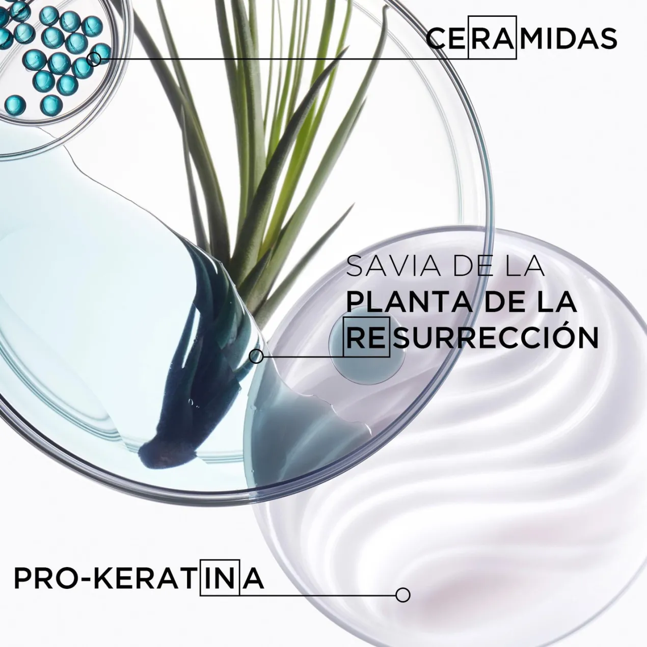 Résistance Ciment Thermique Protector Térmico de Secado para Cabello Dañado