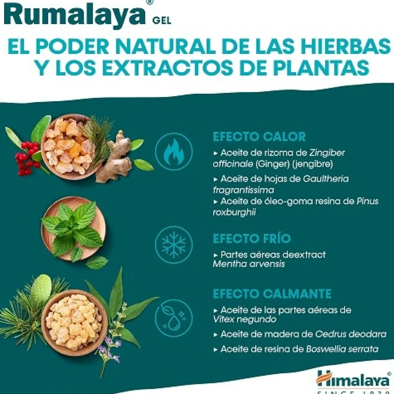 Rumalaya Gel Para Masajes de Alivio del Dolor