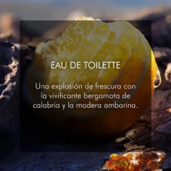 SAUVAGE Eau de Toilette