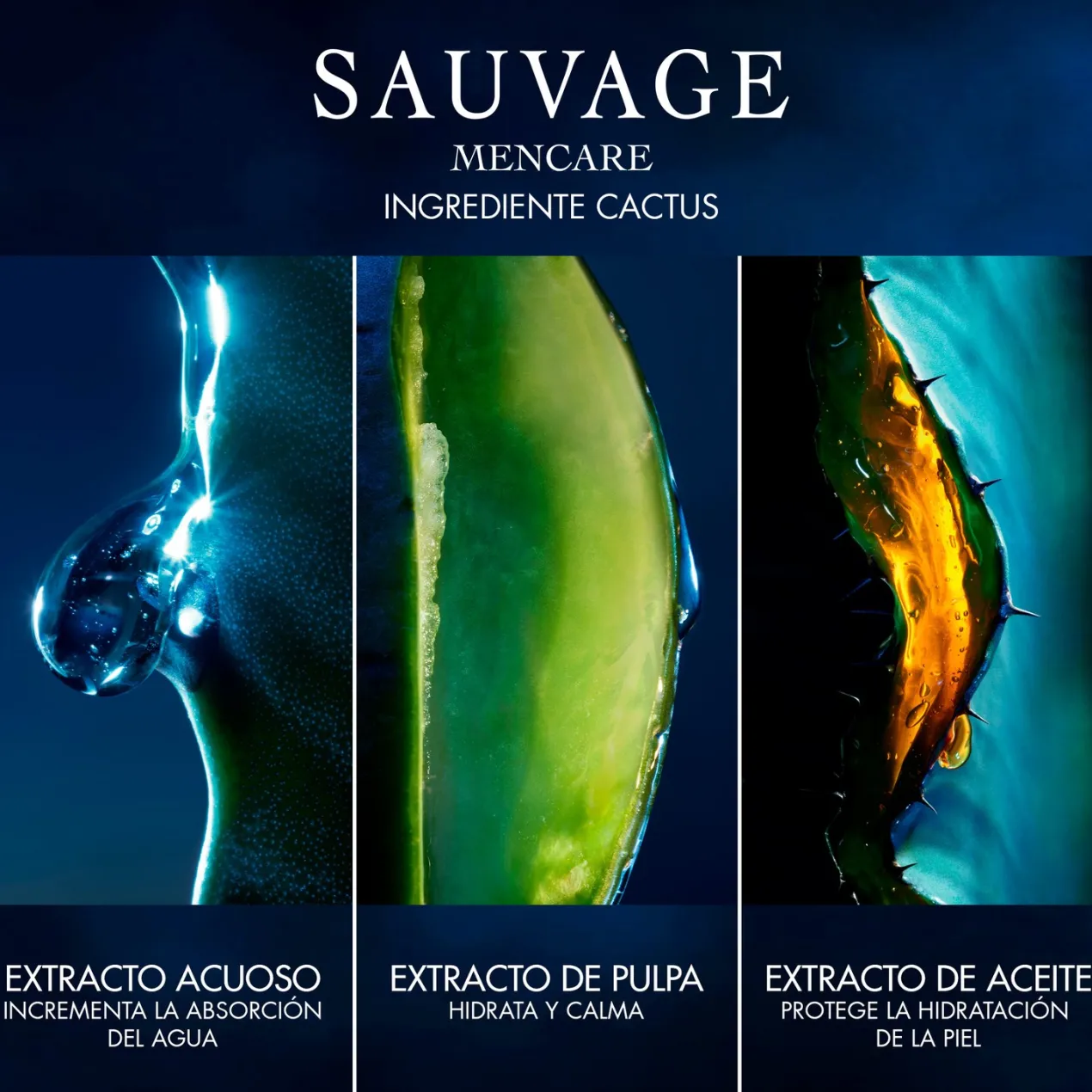 Sauvage Kit Ritual de Tratamiento