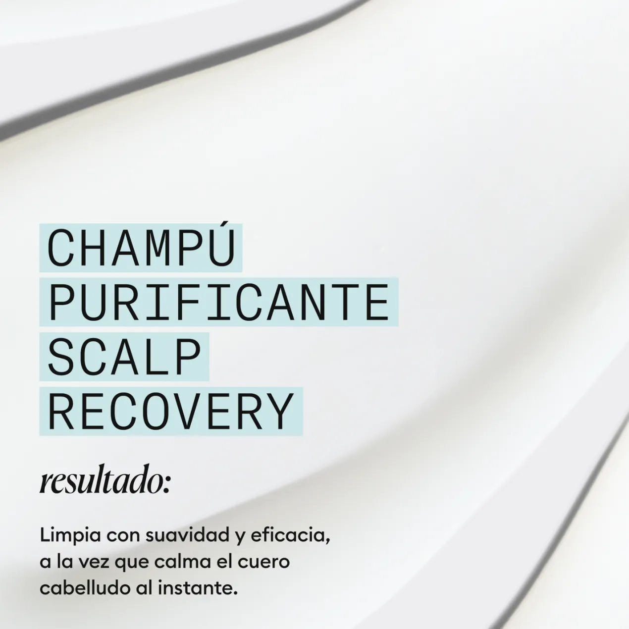 Scalp Recovery Purifying Shampoo Champú Anticaspa