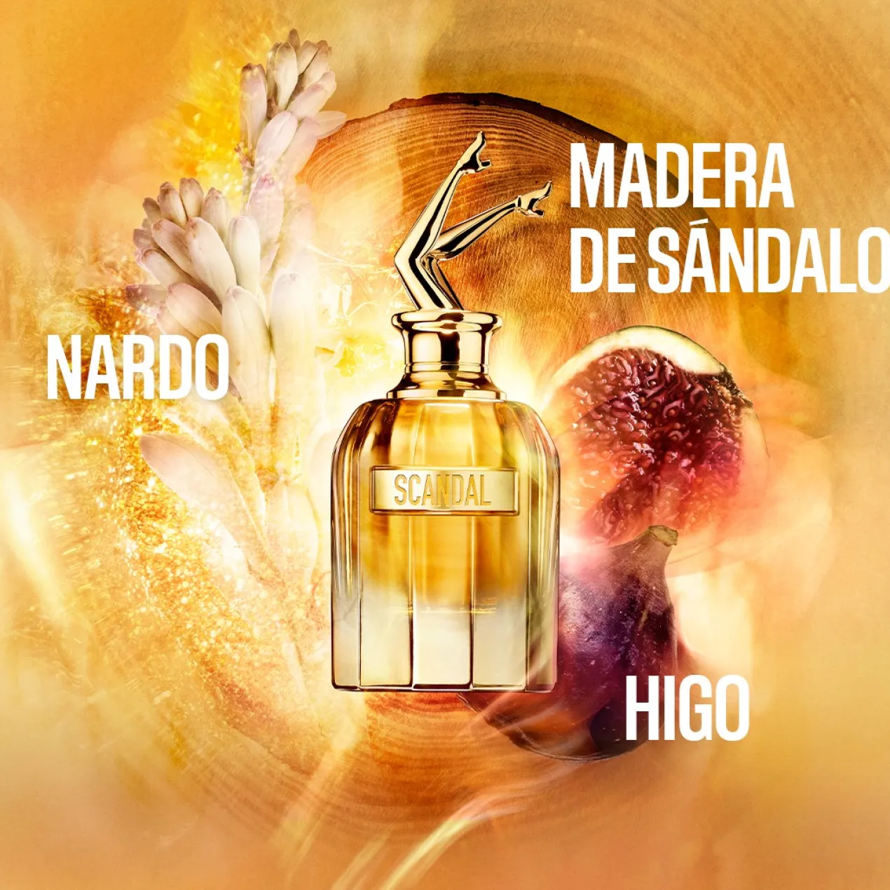 Scandal Absolu Parfum