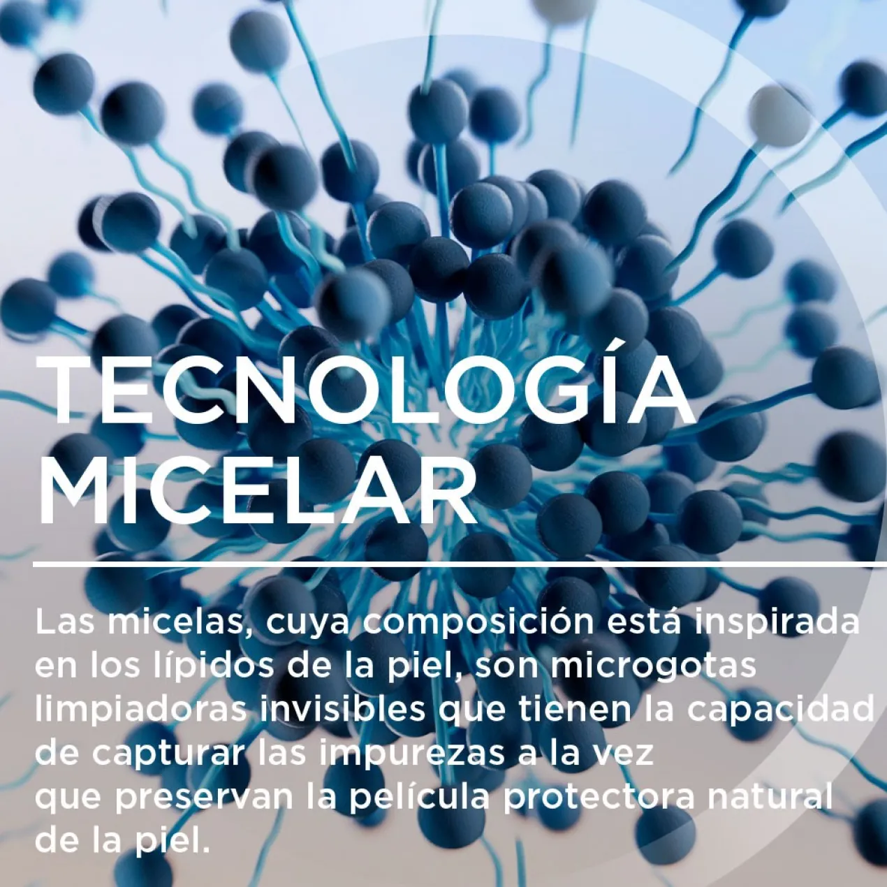 Sensibio Gel Moussant Gel Limpiador Facial