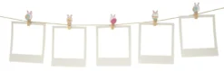 Set de Mini Pinzas de Madera Unicornio
