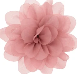 Set Myclaw Hothouse Florals