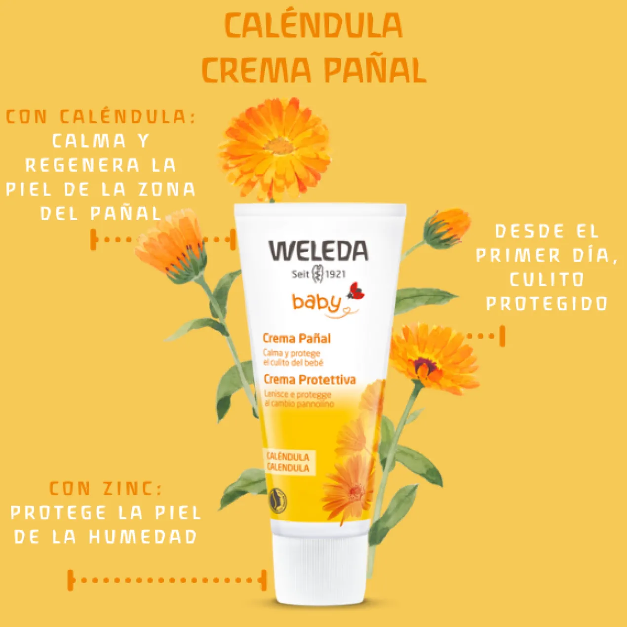 Set Bienvenido Bebé