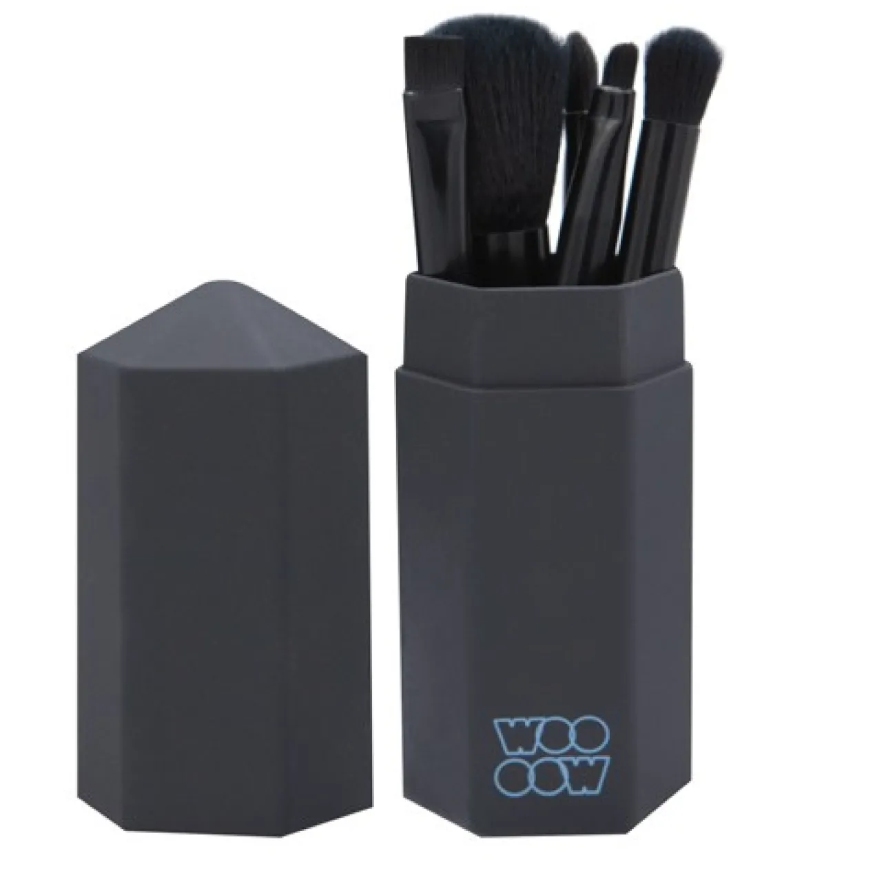 Set de Brochas de Viaje The Minis