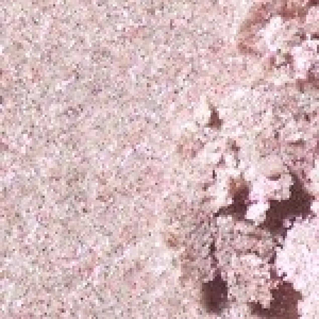 Single Eye Shadow Glitter Compact